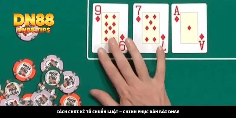 Cách Chơi Xì Tố Chuẩn Luật – Chinh Phục Bàn Bài DN88